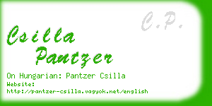 csilla pantzer business card